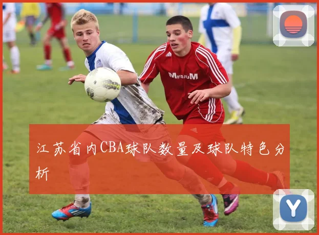 江苏省内CBA球队数量及球队特色分析