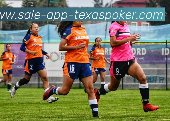 App Interface Preview